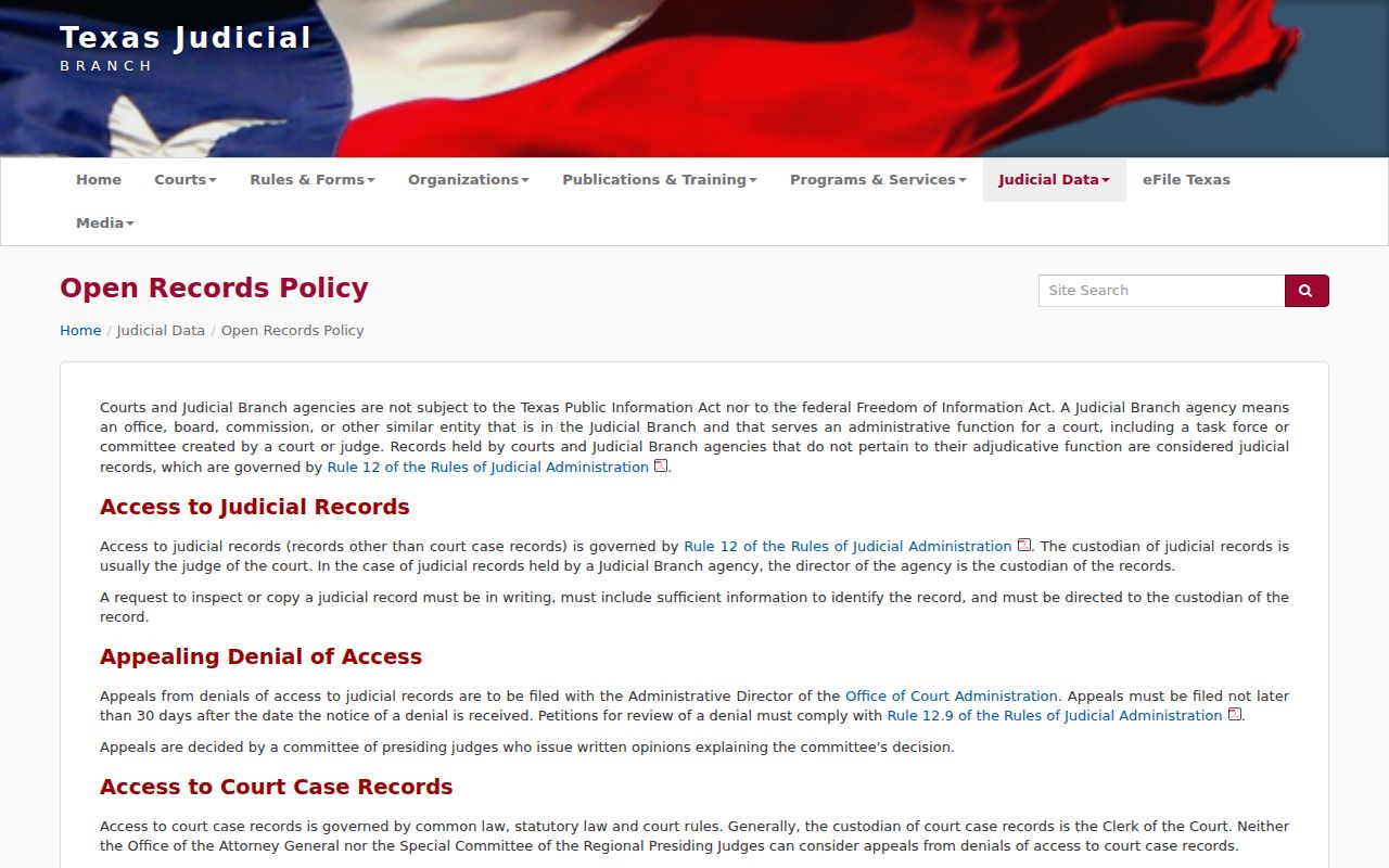Jefferson County arrest warrant records reference, Texas court access policy